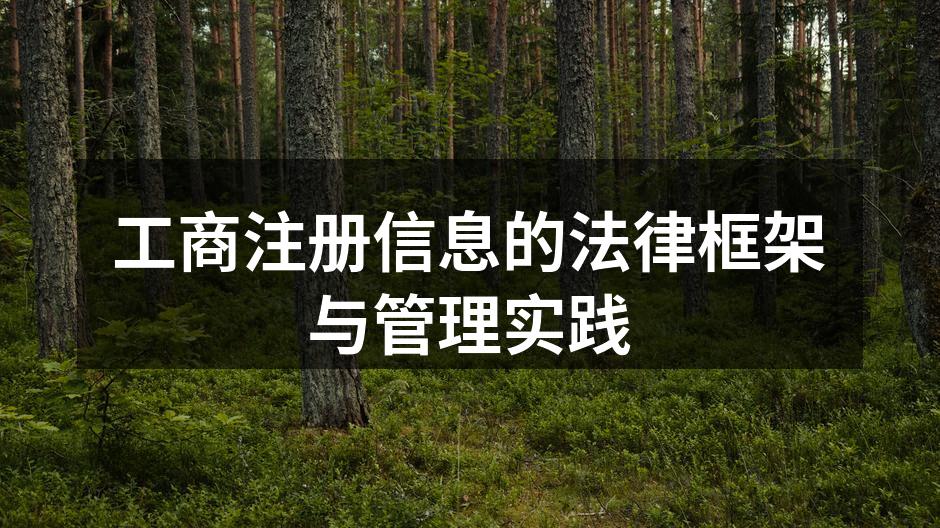 工商注册信息的法律框架与管理实践